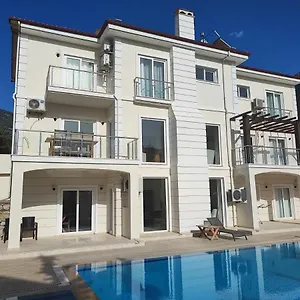 Holly Villa